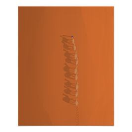 Sahara Desert Marocko | Illustration av luftfartyg Fototryck