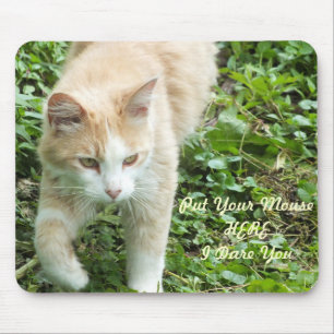 Sahara Jungle Cat Mouse Pad Musmatta