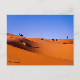 Sahara Merzouga tidigt på morgonen Vykort
