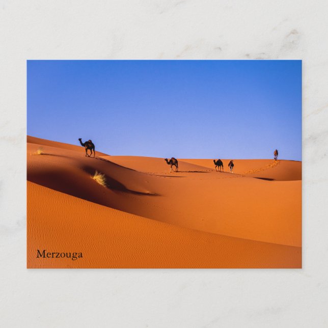 Sahara Merzouga tidigt på morgonen Vykort (Framsida)