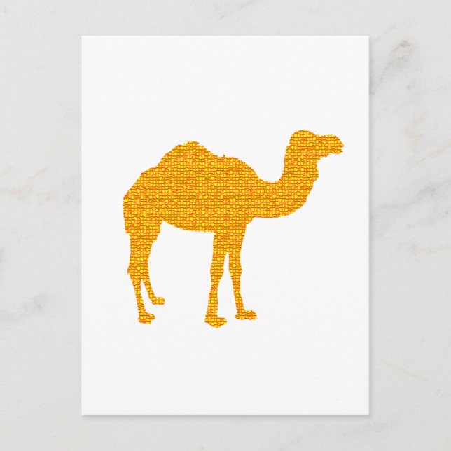 Saharas Camel Vykort (Framsida)