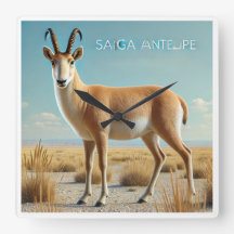 Saiga Antilop i öknen