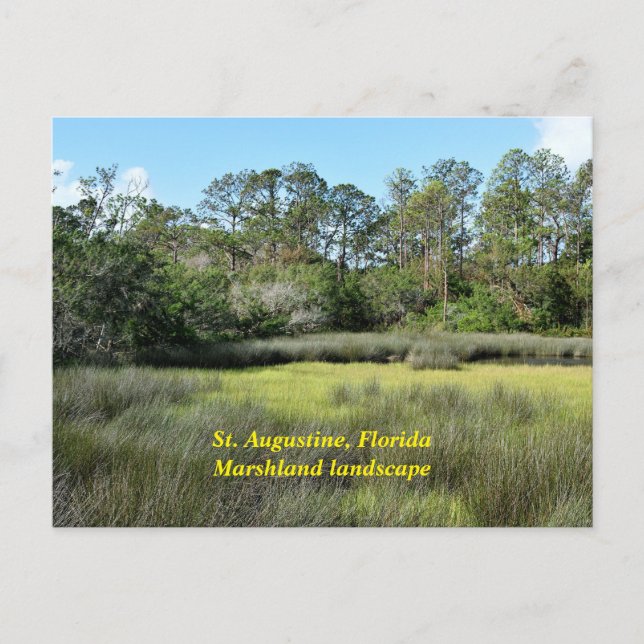 Saint Augustine, Florida marshland Helg Vykort (Framsida)