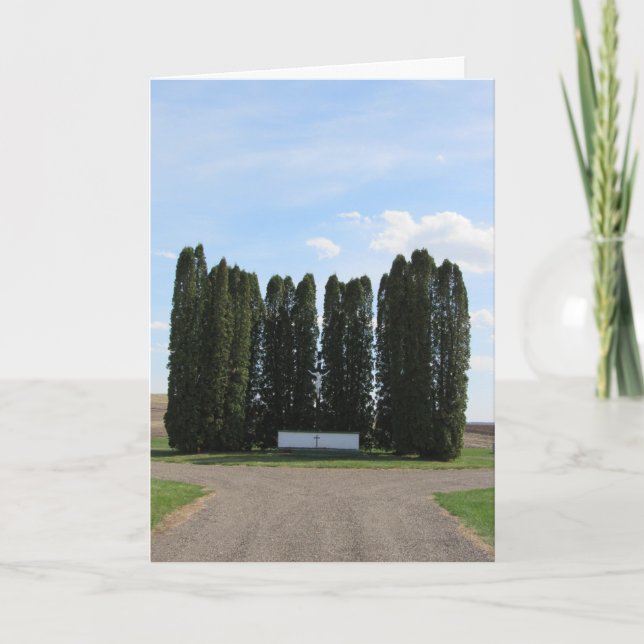 “Saint Augustine Landskap” Sympatikort #2 Kort (Framsida)