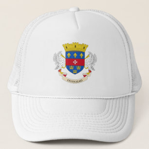 Saint-Barthélemys flagga Keps