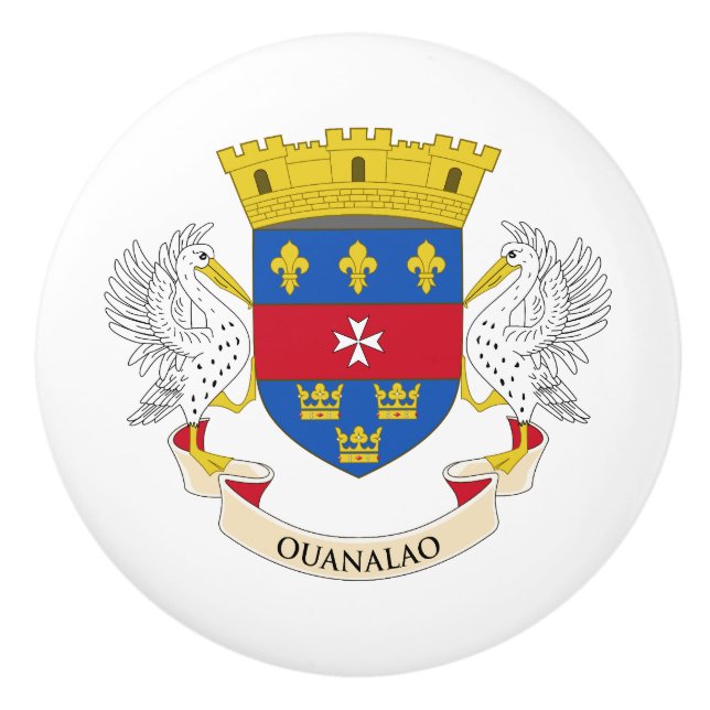 Saint-Barthélemys flagga Knopp (Framsidan)