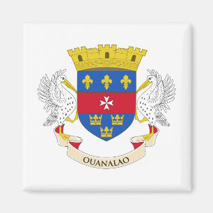 Saint-Barthélemys flagga Magnet