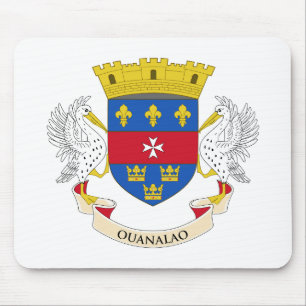 Saint-Barthélemys flagga Musmatta