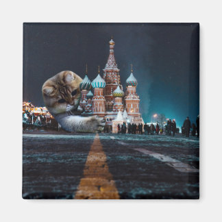 Saint Basils katedral och Hosico Magnet