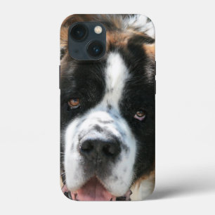 Saint Bernard Ansikte