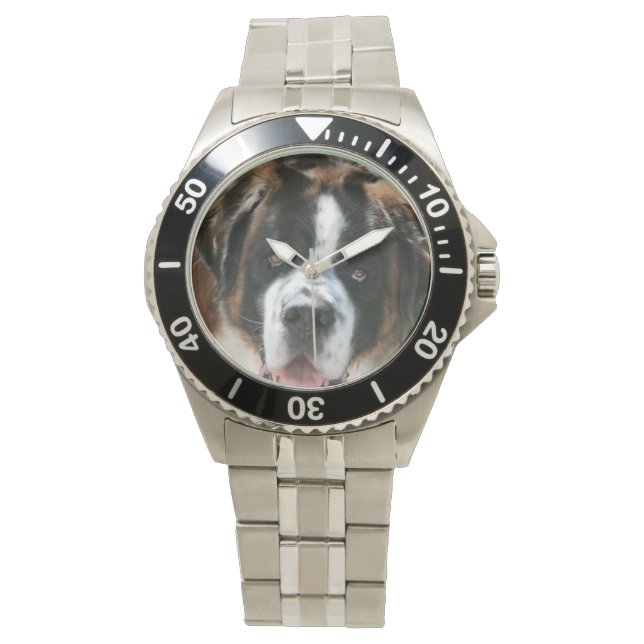 Saint Bernard Ansikte Armbandsur (Framsida)