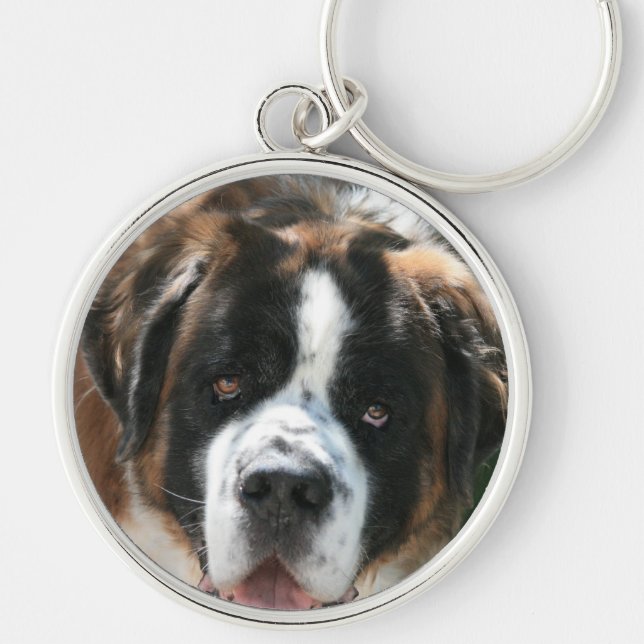 Saint Bernard Ansikte Large Premium Keychain Rund Silverfärgad Nyckelring (Framsidan)