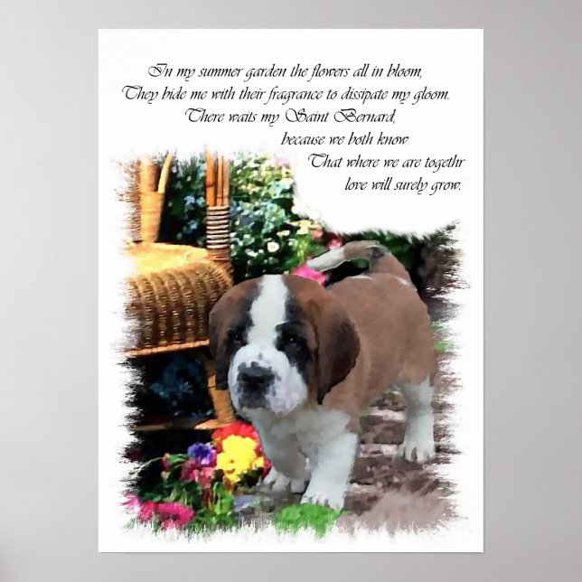 Saint Bernard Art Gifts Poster (Framsidan)