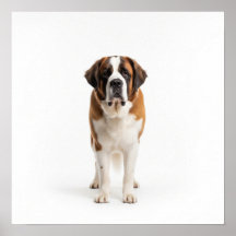 Saint Bernard Art