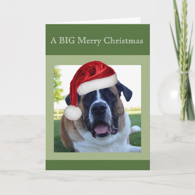 Saint Bernard "Big" God jul Helgkort (Framsida)