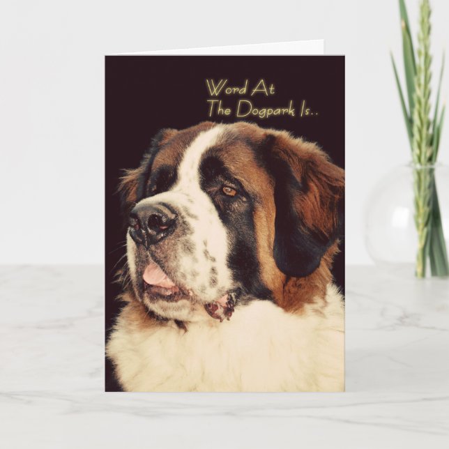 Saint Bernard Birthday Card Kort (Framsida)