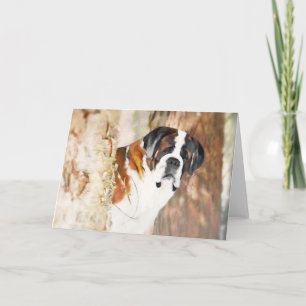 Saint Bernard Greeting Card Kort