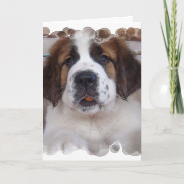 Saint Bernard Greeting Card Kort (Framsida)