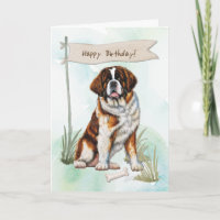 Saint Bernard Hund aveln under födelsedagsskylt