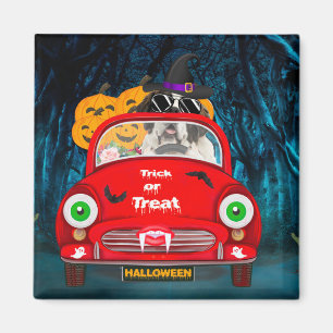 Saint Bernard Hund Driving Car Scary Halloween Magnet
