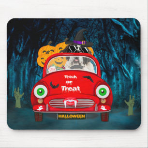 Saint Bernard Hund Driving Car Scary Halloween Musmatta