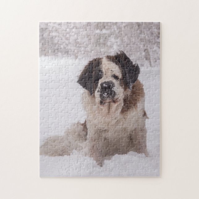 Saint Bernard hund i snö Pussel (Vertikal)