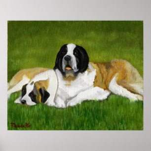 Saint Bernard Hund Porträtt Poster