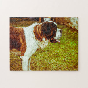Saint Bernard Hund Pyssel. Pussel