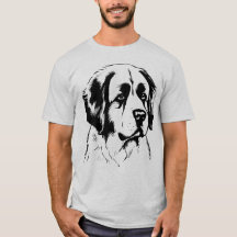 Saint Bernard Hund