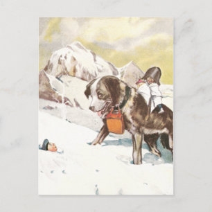 Saint Bernard Hund till Räddingen Vykort