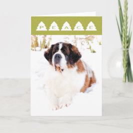 Saint Bernard-julkort Helgkort