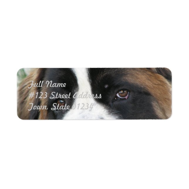 Saint Bernard Mailing Label Returadress Etikett (Framsidan)