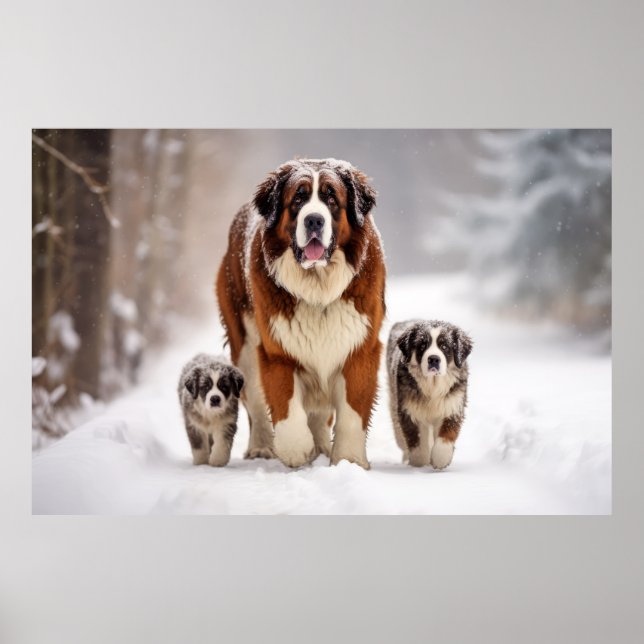 Saint Bernard Pet Hund Animal Family Poster (Framsidan)