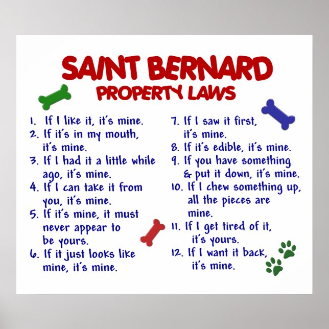 SAINT BERNARD PL2 POSTER (Framsidan)