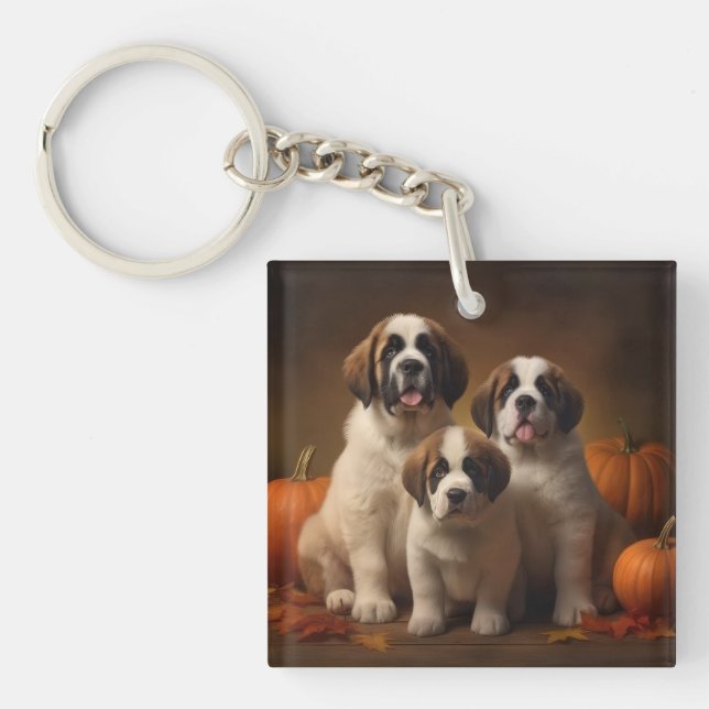 Saint Bernard Puppy Autumn Delight Pumpkin (Framsidan)