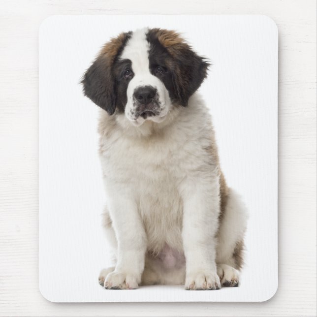 Saint Bernard Puppy Hund St. Bernard Musmatta (Framsidan)