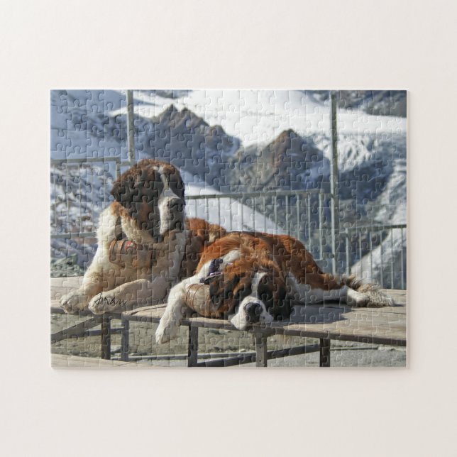 Saint Bernard Pussel (Horisontell)