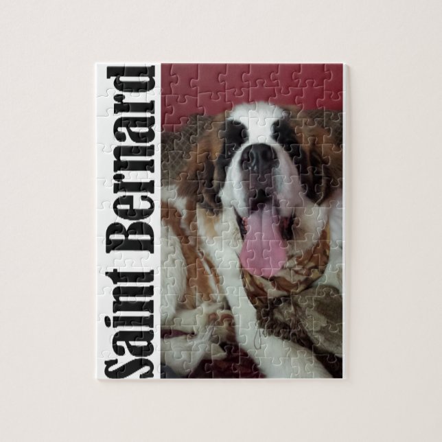 Saint Bernard Pussel (Vertikal)