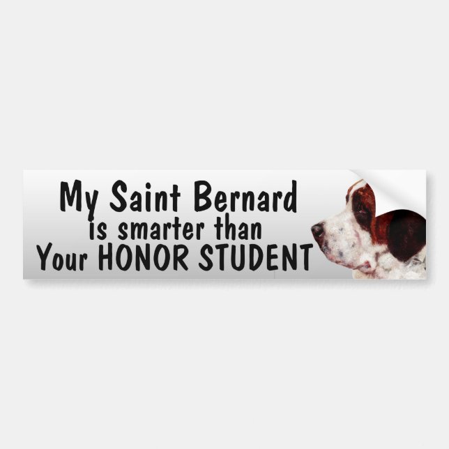 Saint Bernard smartare än hedersstudent - rolig Bildekal (Framsidan)