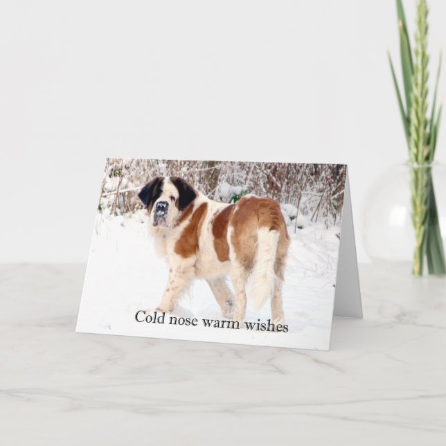 Saint Bernard snö fotograferad jul hälsning Helgkort (Framsida)