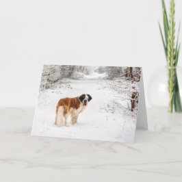 Saint Bernard snö fotograferad jul hälsning Helgkort