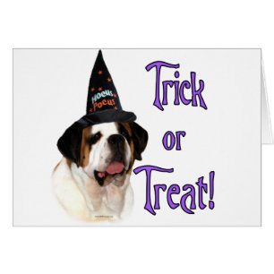 Saint Bernard Trick Hälsningskort