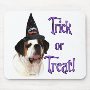 Saint Bernard Trick Musmatta