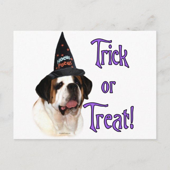 Saint Bernard Trick Vykort (Framsida)