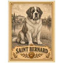 Saint Bernard, Vintage Heritage Hund
