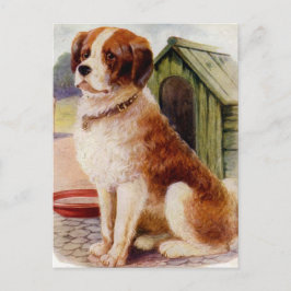 Saint Bernard Vykort