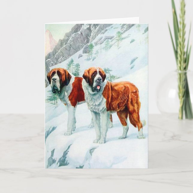 Saint Bernards på ett snöberg-illustration Kort (Framsida)