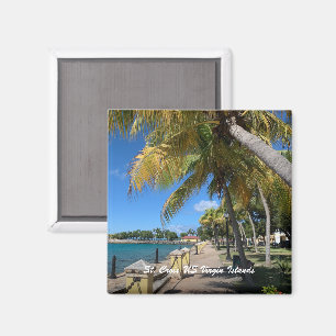 Saint Croix Amerikanska Jungfruöarna Frederiksted Magnet