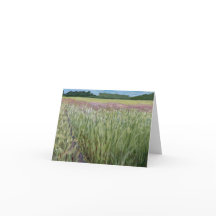 Saint Croix Savannah SNA - Prairie