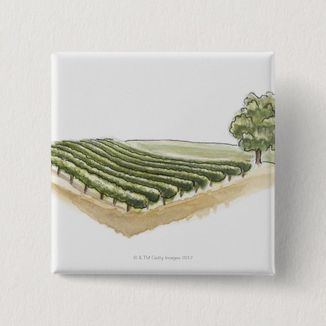 Saint-Emilion, Frankrike Knapp (Framsida)